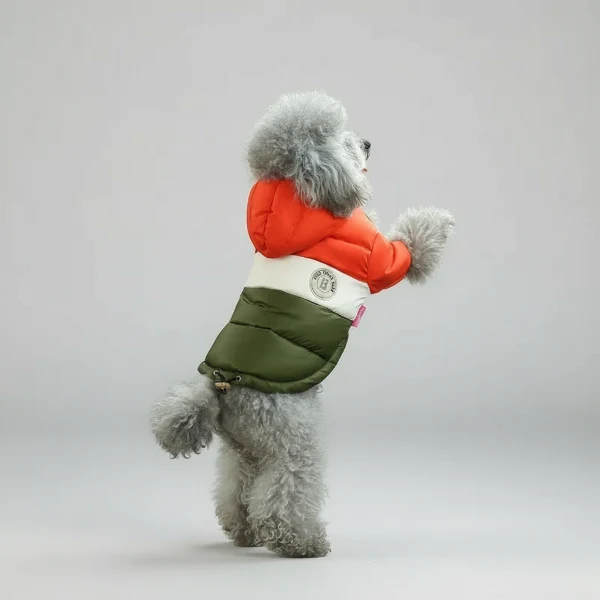 Veste Imperméable Avec Capuche Pour Chien – Image 3