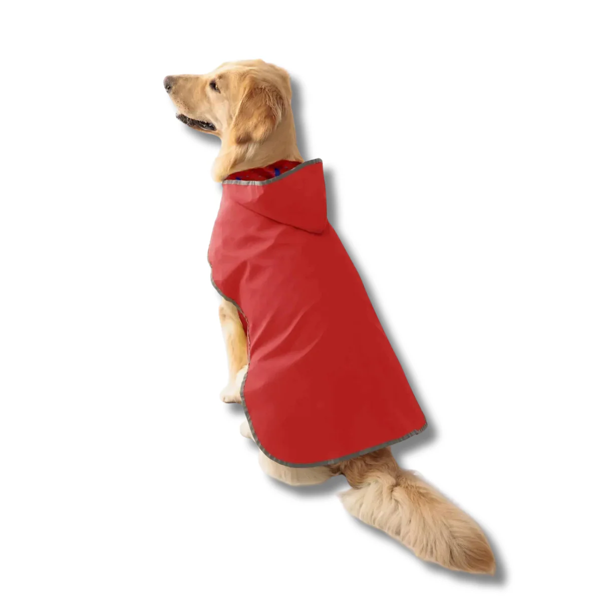 Veste Imperméable Réversible Pour Chien – Image 4