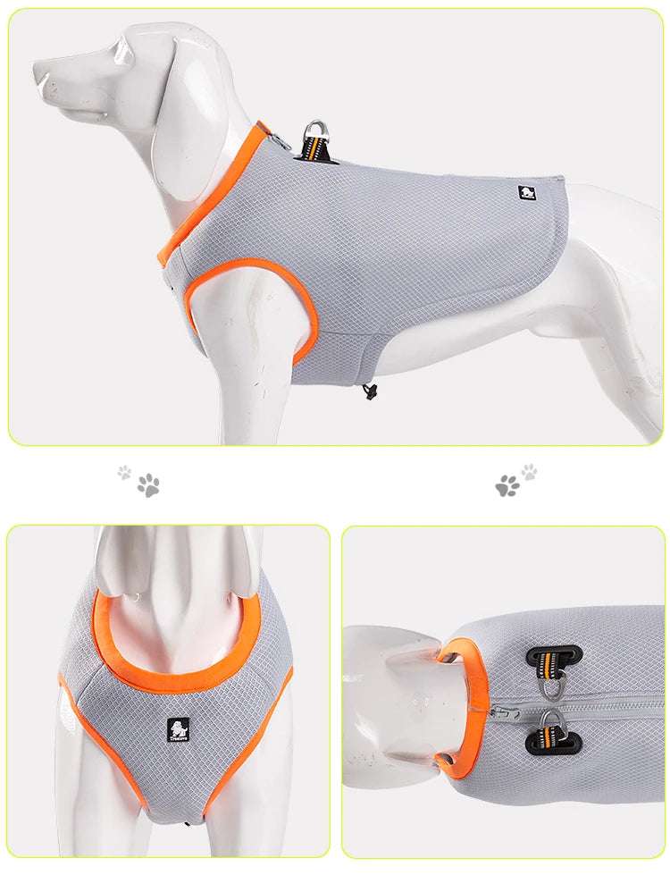 Veste Rafraîchissante Légère Pour Chien – Image 7