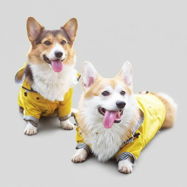 Vêtement de pluie imperméable pour chien – Image 7
