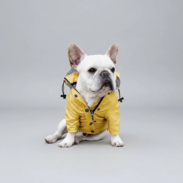 Vêtement de pluie imperméable pour chien – Image 2