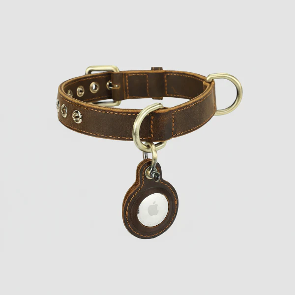 Collier En Cuir Avec Emplacement Airtag Pour Chien