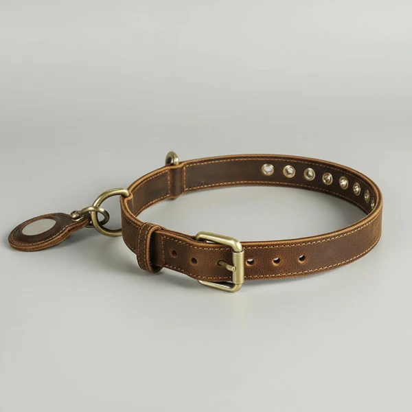 Collier En Cuir Avec Emplacement Airtag Pour Chien – Image 2